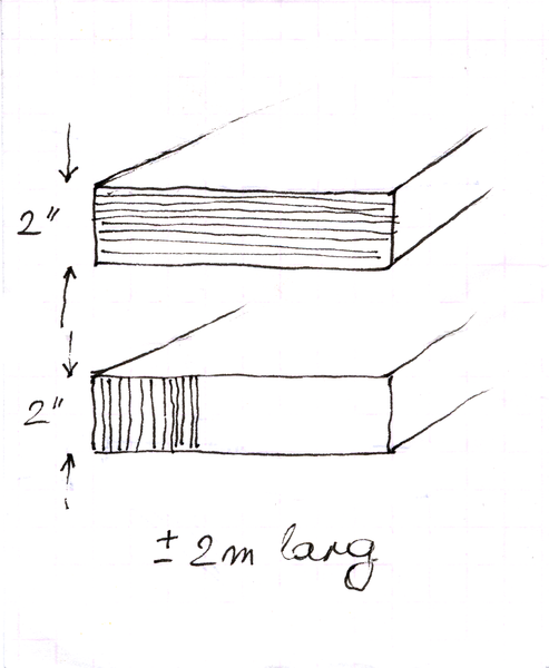 File:Hout ray.png