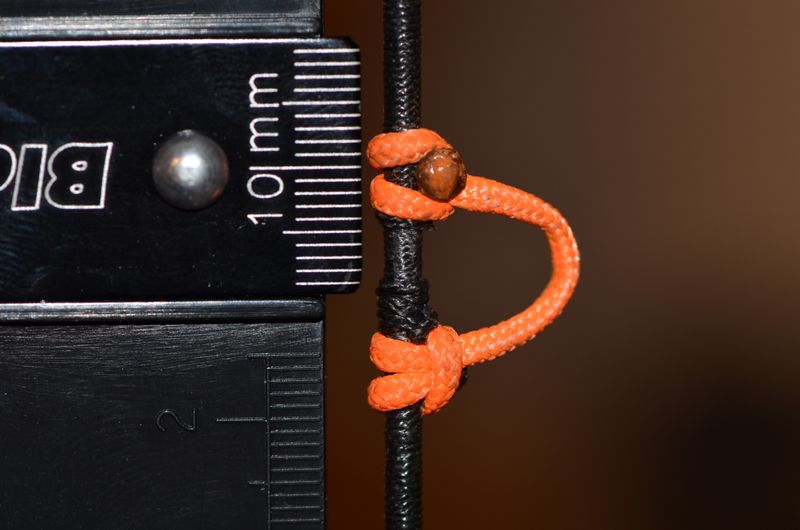 File:Position of D loop Nock point.jpg