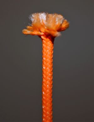 Mooi en egaal uitpluizen tot je een goede paddenstoel bekomt.